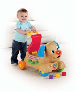 Toddler Riding Scooter Puppy Baby Push Toy Infant Walker Shape Sorter 