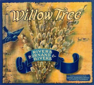 Willow Tree Vintage Fruit Crate Label Los Angeles CA