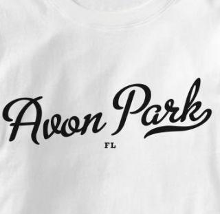 Avon Park Florida FL Metro Hometown Souvenir T Shirt XL