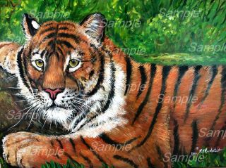   Tiger Painting Wildlife Big Cats Zoo Kristine Kasheta Art
