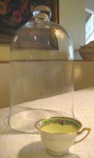 15 Tall Glass Display Bell Jar Dome Terrarium Plant Taxidermy Knob 