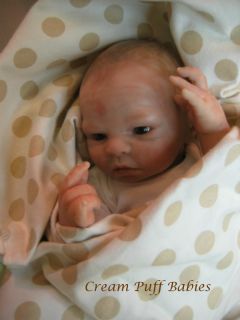 Reborn Preemie Baby Boy Doll Jewel by Denise Pratt