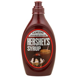 HERSHEYS Syrup Bank   Chocolate Syrup Container Coin Bank NEW