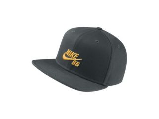 Nike SB Icon Adjustable Hat 484592_373