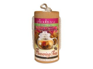 Primula TMV 2012 Flowering Tea Variety 12 Pack
