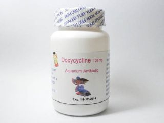 100 Counts Doxycycline 100 mg Aquarium Fish Antibiotic 