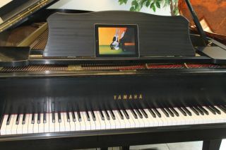 1985 Yamaha Satin Black G3 Grand Piano w/New HDIQ Serial No J3892836