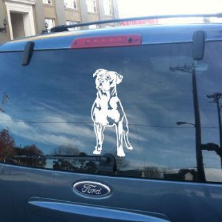 American Staffordshire Terrier Dog vinyl decal,Pit bull, catch dog 