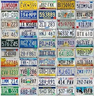 50 UNITED STATES License Plates   Number Tag Lot USA   Cool Art Best 