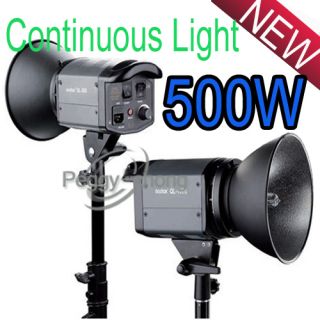 500W Photo Studio Video Continuous Light Lighting X2