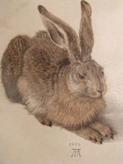 Albrecht Durer A Young Hare Facsimile Print