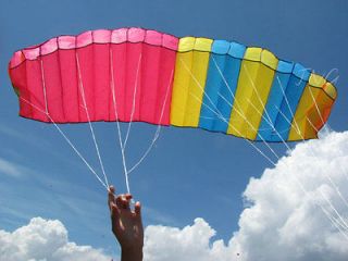 matrix huge dual line parafoil power stunt sport kite from