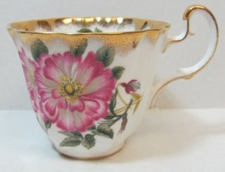 believe the flowers are Wild Rose and Fuchsia. The saucer is around 