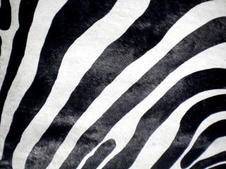 Zebra Print Printed Cowhide Skin Rug Cow Hide DC3678