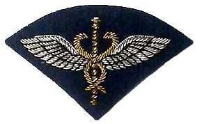 raf flight medical badge for royal air force mess dress