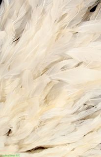 Juju Feather Headdress White Cameroon African Sale Was $295