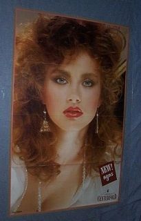 Orig 1986 Playboy Video Centerfold Poster Sherry Arnett