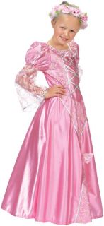 Posh Satin Princess Aurora Sleeping Beauty Fairytale Princess Costume 