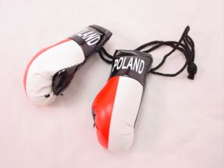 BOGO Mini Boxing Glove Sets   POLAND   Auto Dorm Decor