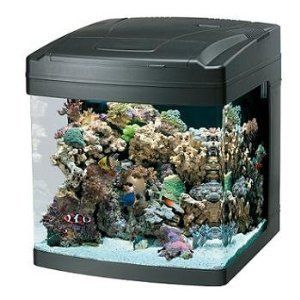 Oceanic BioCube 14 Gallon Fresh Or Saltwater Enviroment Aquarium