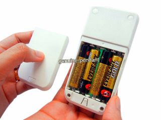 Portable UVC Pocket Sanitizer Wand UV C Light KILLS Germs +Free Anti 
