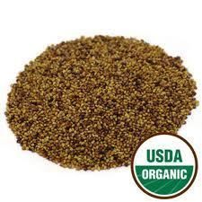 USDA Organic Red Clover Seeds for Sprouting 1oz 100g 8oz Sizes Canada 