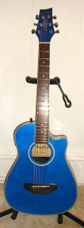 Beaver Creek Acoustic/ Electric Awesome Little 3/4 Travel Guitar