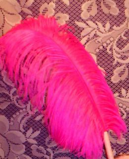 Beautiful Hot Pink Feather Pen Wedding Guestbook Gift