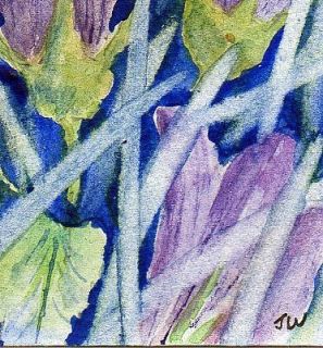 Nettle Leaved Bellflower Original ACEO Watercolour Painting 3 5 x 2 5 