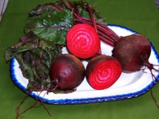 Mixed Gourmet Beets Vegetable Seeds  on All Seeds with 