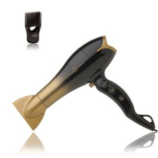 Belson Gold N Hot Professional Euro Ionic Dryer GH2273