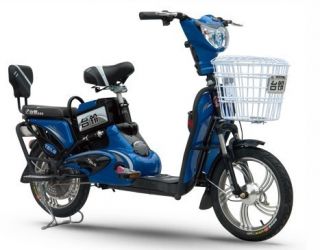 Tailg Electric Bicycle E Bike Scooter TDR333Z 48V 350W No Drivers 
