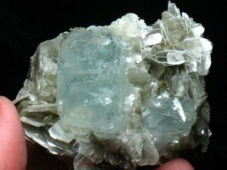 Fat Tabular Blue Aquamarine Beryl Crystal w Muscovite