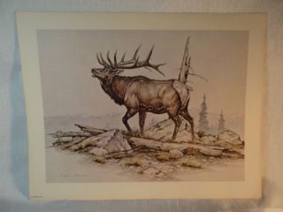 Clark Bronson Wildlife Print Bull Elk Bugling on Ridge Great Condition 