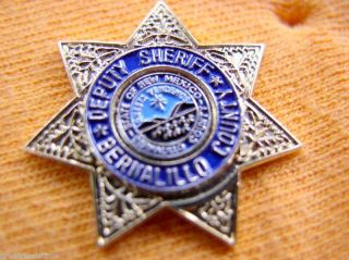 Deputy Sheriff Bernalillo County New Mexico Proud Gold Star Mini Lapel 