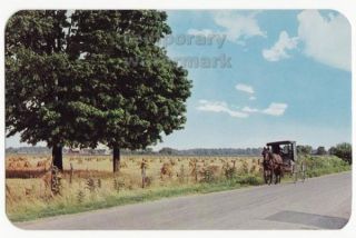 HORSE DRAWN RIG ELKHART COUNTY IN c1960s  INDIANA postcard   AMISH