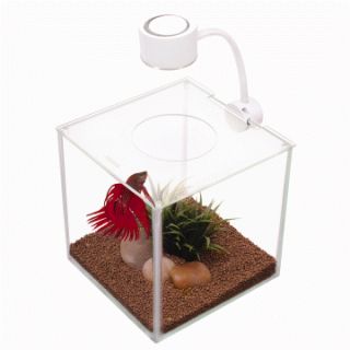 Marina Aquarium Cubus Desk Fish Tank Betta Cube Beta