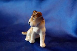 Antique Porcelain Dog Germany Wire Fox terrier jack Russell Rascal Rat 