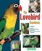 description lovebirds are social birds but it is a myth that they must 