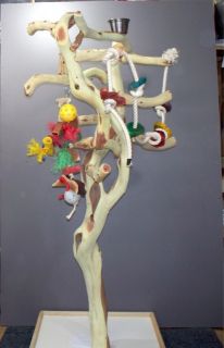 Manzanita Parrot Tree Bird Stand Toy Play Gym Like Java Wood 