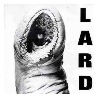 Lard Power of Lard LP New Vinyl Jello Biafra Ministry Dead Kennedys 