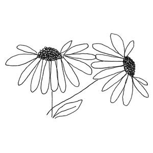 Penny Black Rubber Stamp 3820k A TOUCH Brown Eyed Susan Flowers