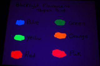8oz Bottle UV Blacklight Reactive Tempera Paint