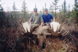 Alaska Hunting DVD Moose Grizzly Bear Sheep Deer Rifle