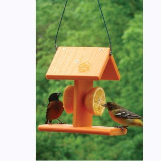 woodlink going green bird feeder from brookstone attract an array of 