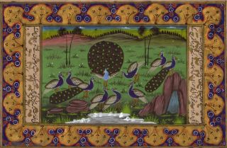 Persian Style Peacock Bird Miniature Painting Urdu Illuminated 