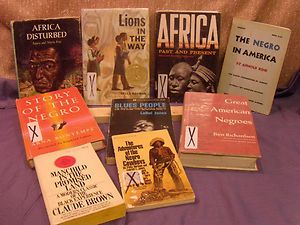Lot 10 Black African American History Biography Books