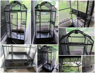   Sturdy Bird Cage for Parrot(s); various toys and accessories included