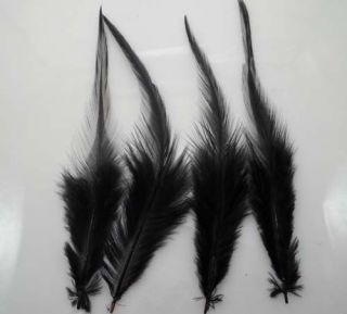 pretty Black Rooster feathers 5 6 inch 50pcs (Available hair 