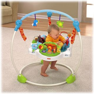 Fisher Price Precious Planet Blue Sky Jumperoo Baby Gym Exercisers 